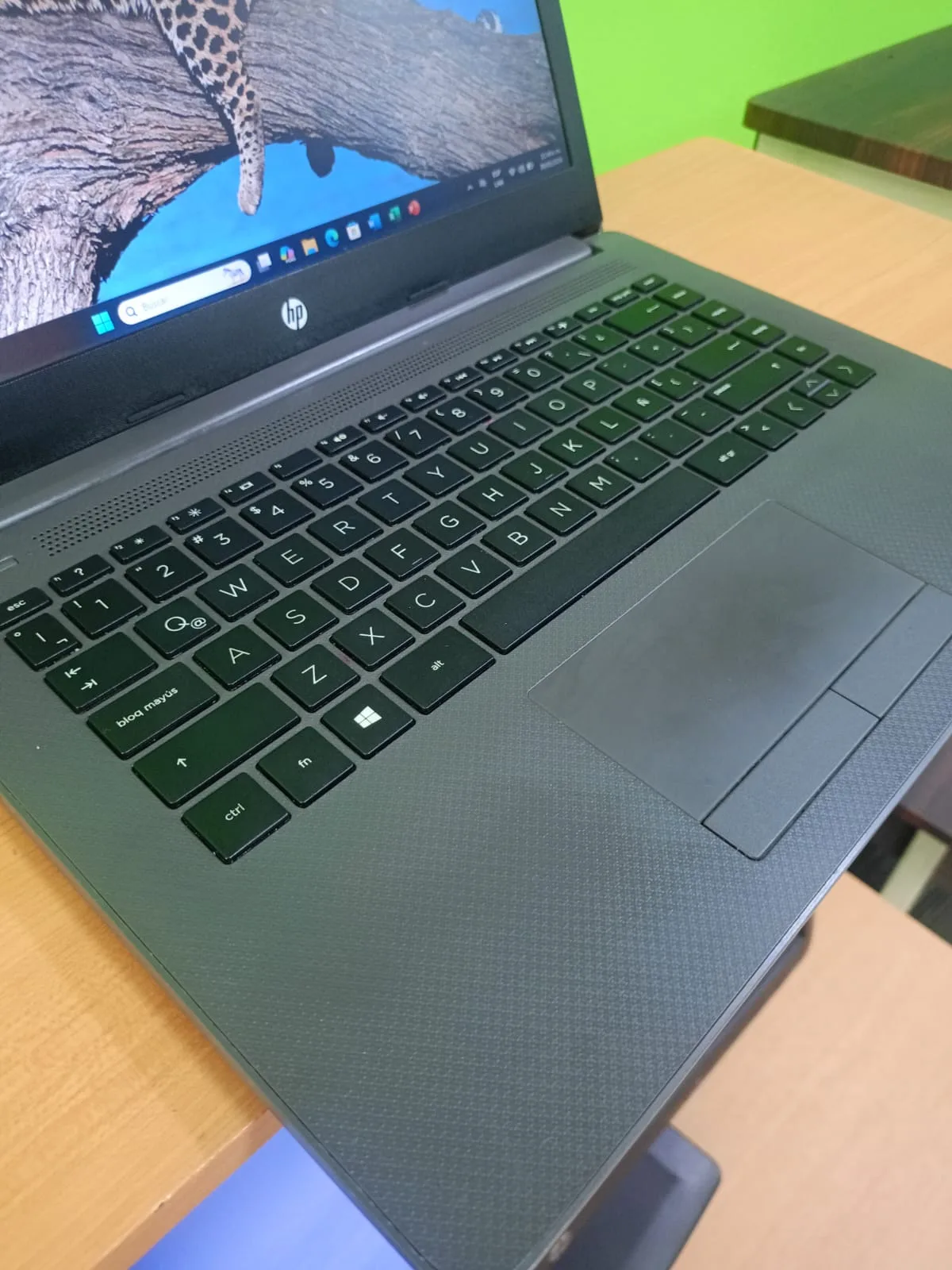 HP RYZEN 3 imagen 4