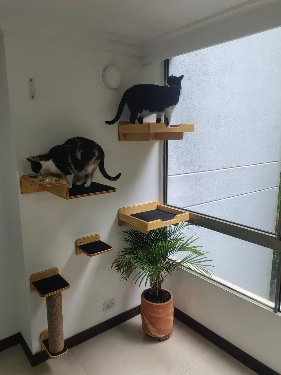 Gimnasio de Pared para Gatos confort imagen 3