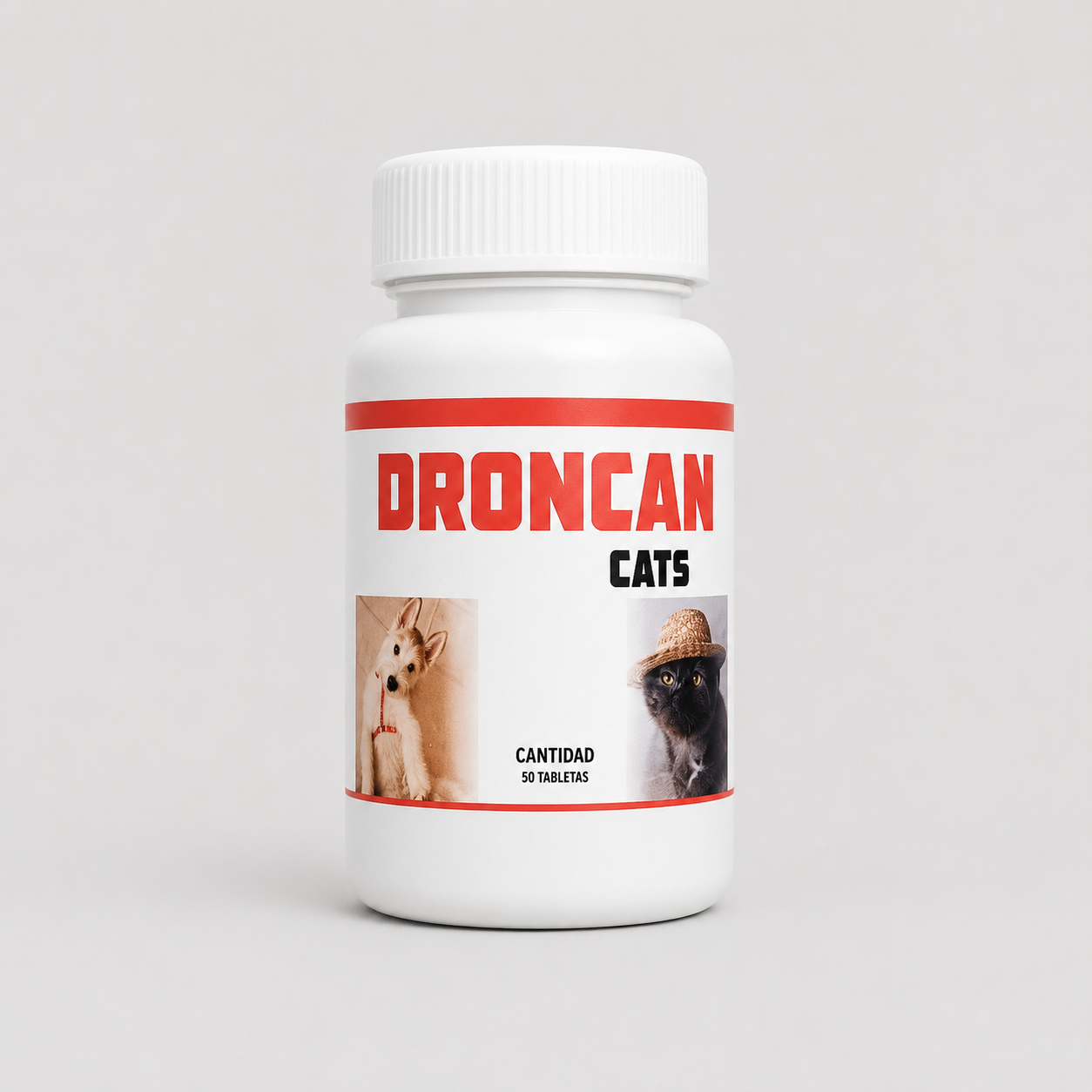 Drocan Cats imagen 1
