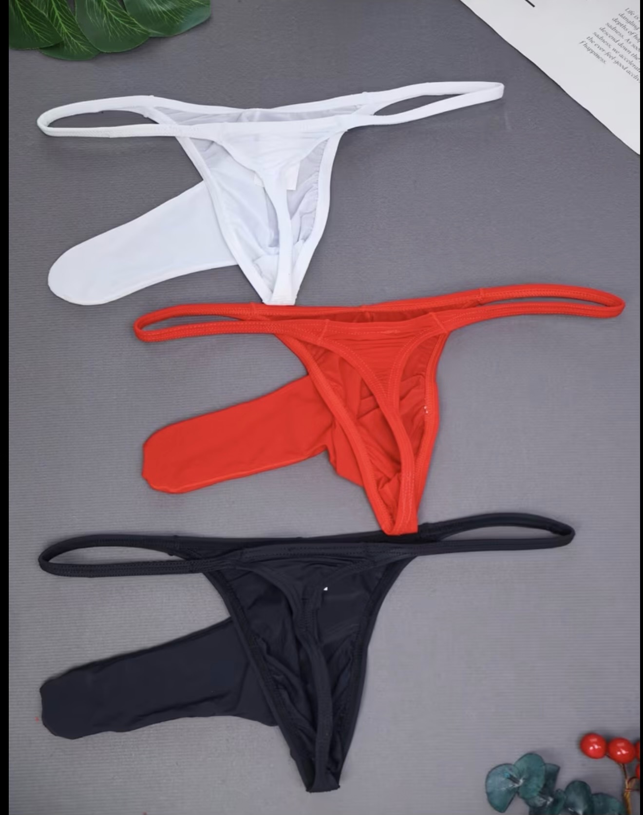 Tanga Elefante X3 imagen 2