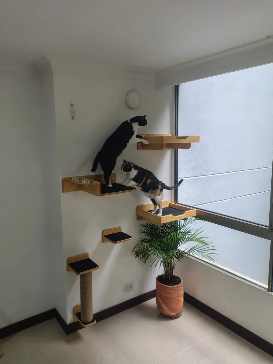 Gimnasio de Pared para Gatos confort imagen 2